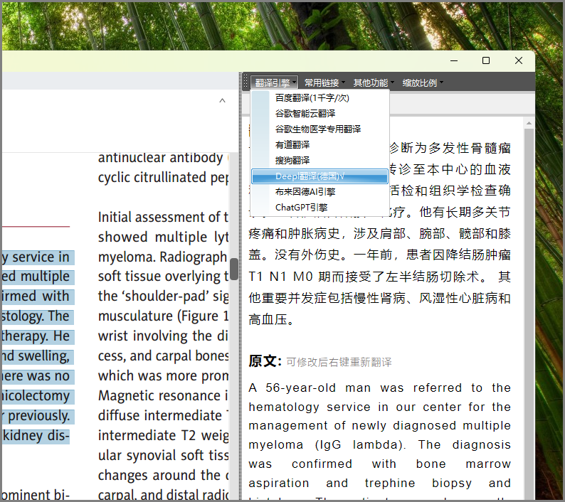 DeepL引擎乱码问题已修复，请下载最新安装包